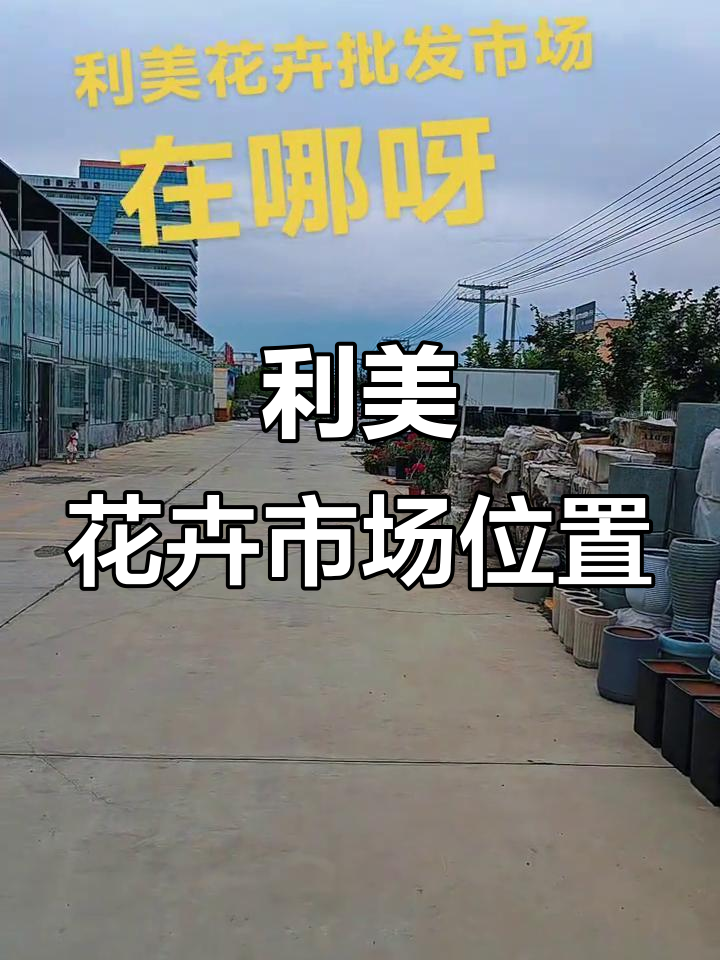 奎屯利美花卉市场:瑞明万家东门对面,花盆批发零售全攻略