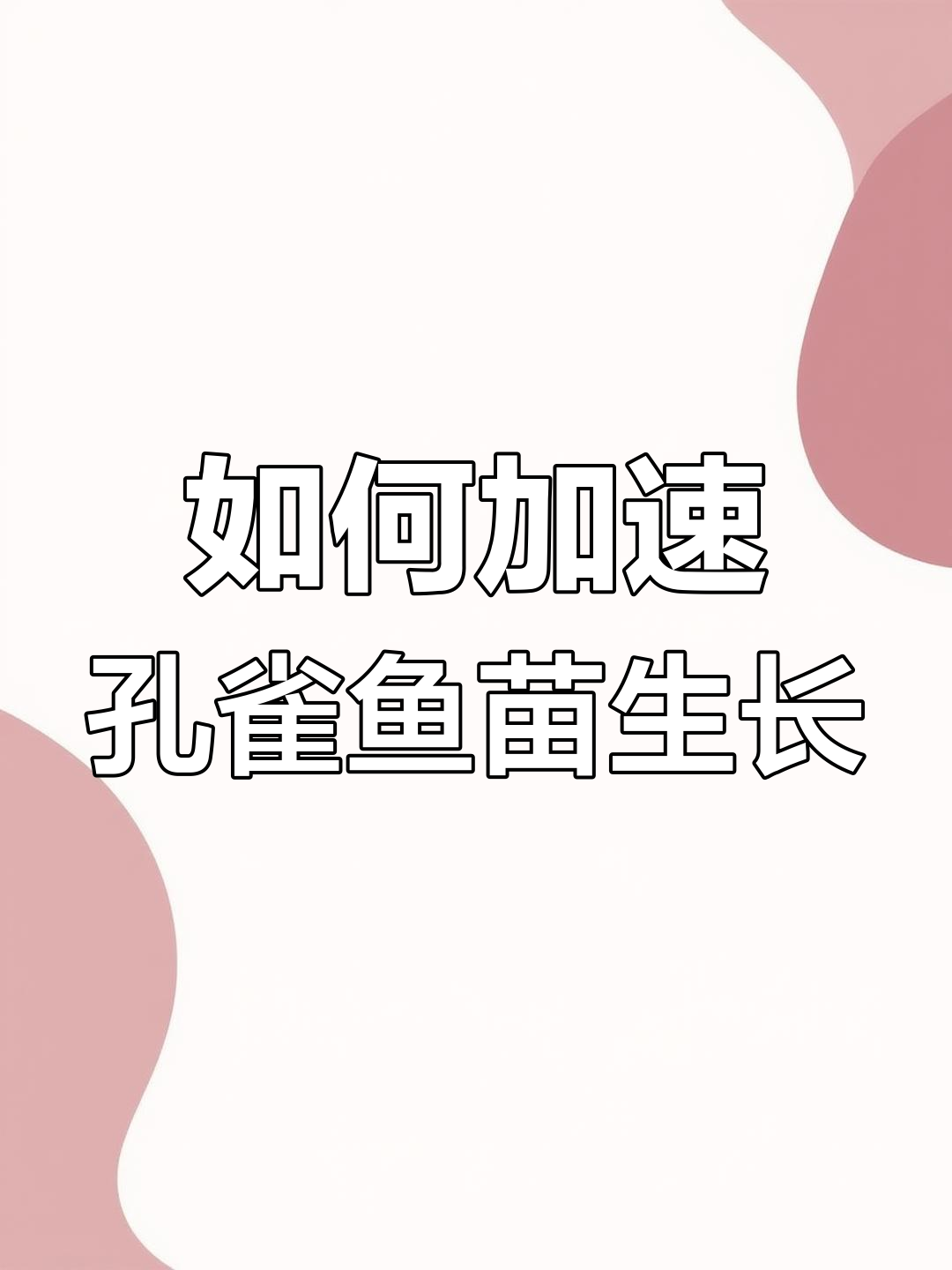 孔雀鱼苗成长缓慢?解决营养与环境的秘诀