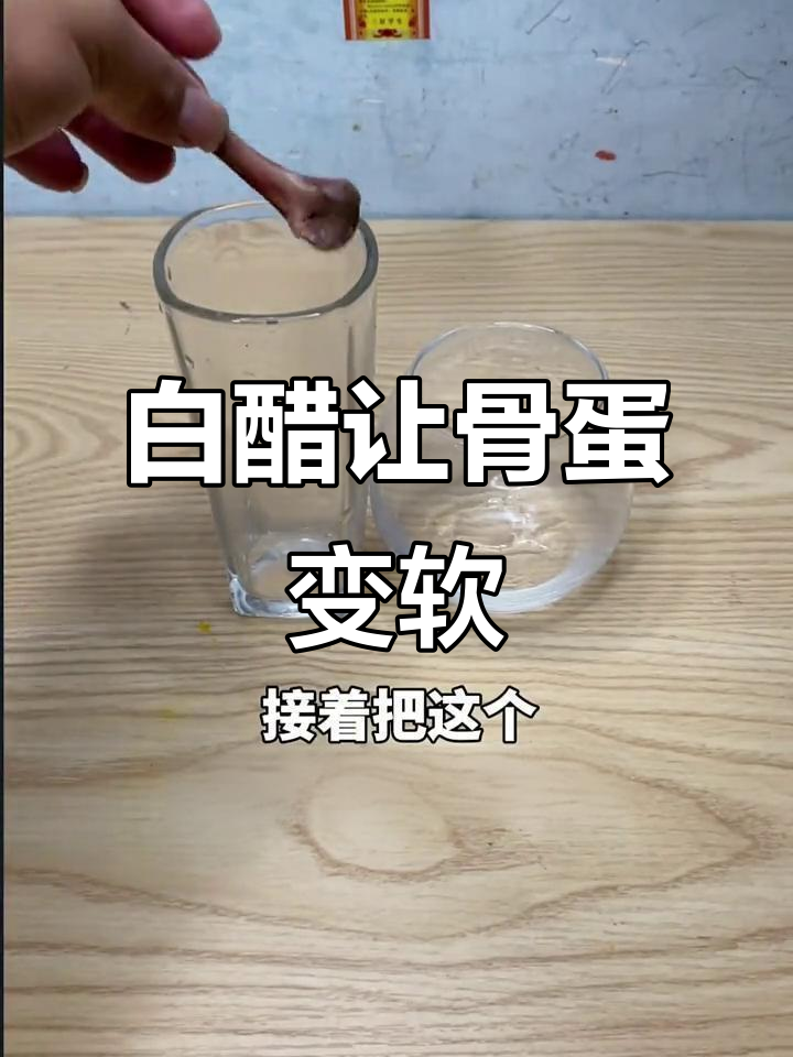 鸡骨头和鸡蛋泡白醋,24小时后竟然变软了!