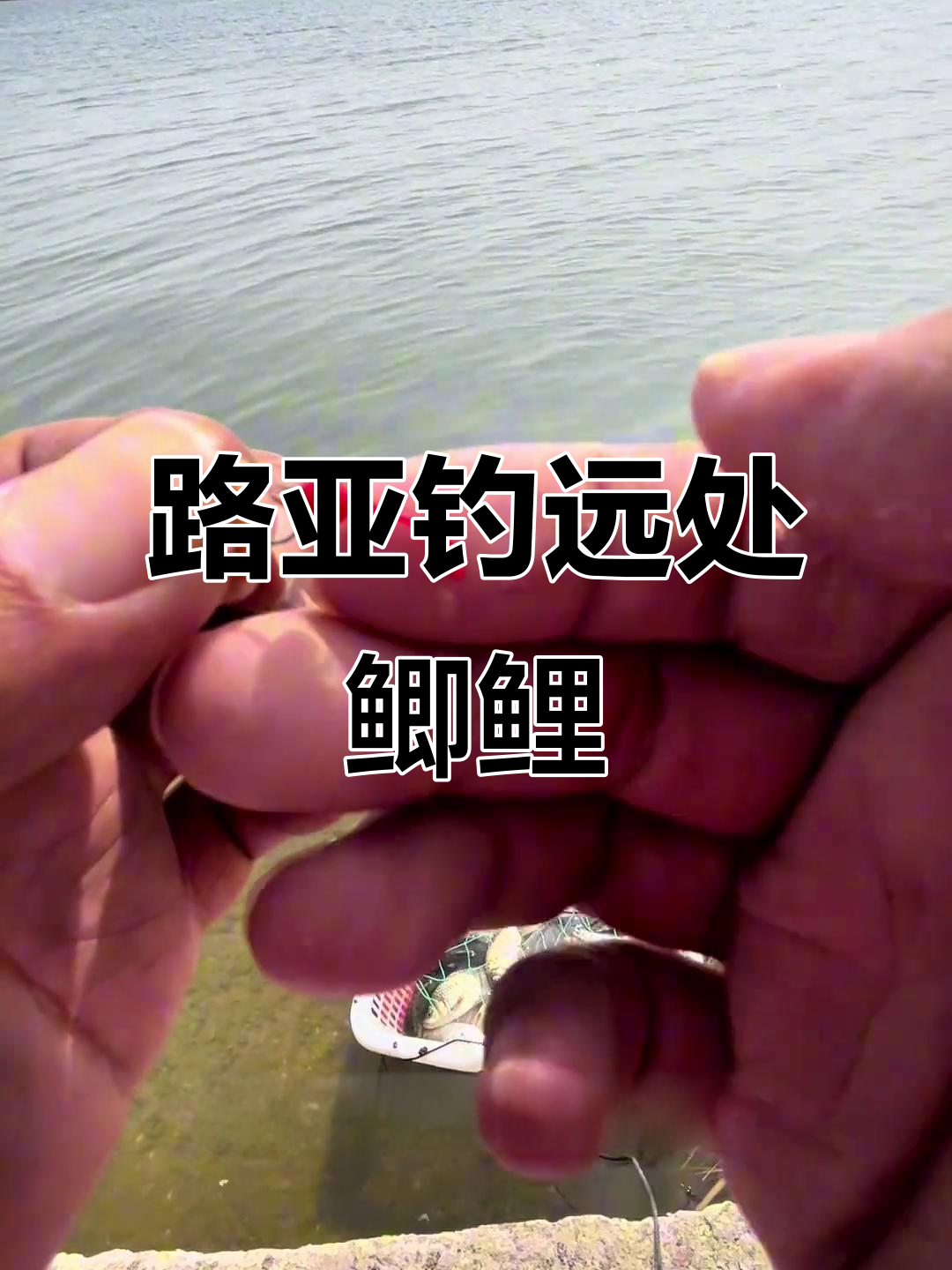 用路亚竿钓远处的鲫鱼鲤鱼,技巧全揭秘