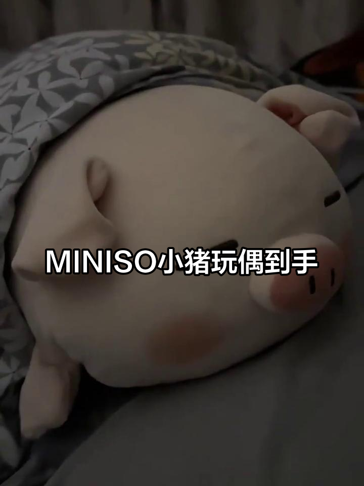 10月4日,我收到了朋友送的MINISO小猪玩偶,太可爱了!