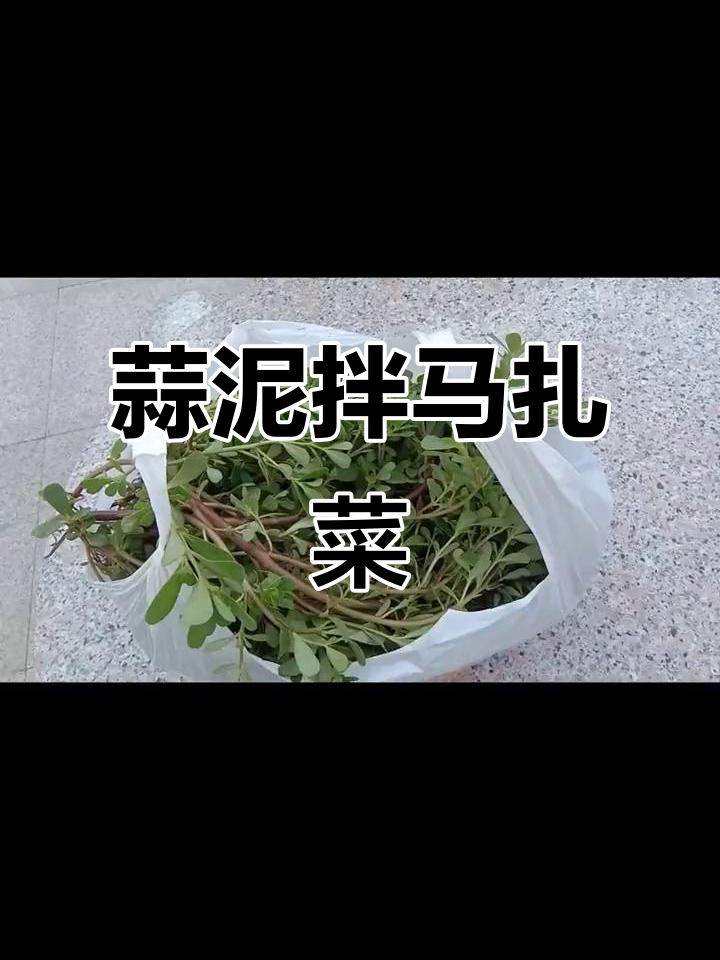 小区草坪里的“抢菜大战”,蒜泥拌马扎菜的简单美味