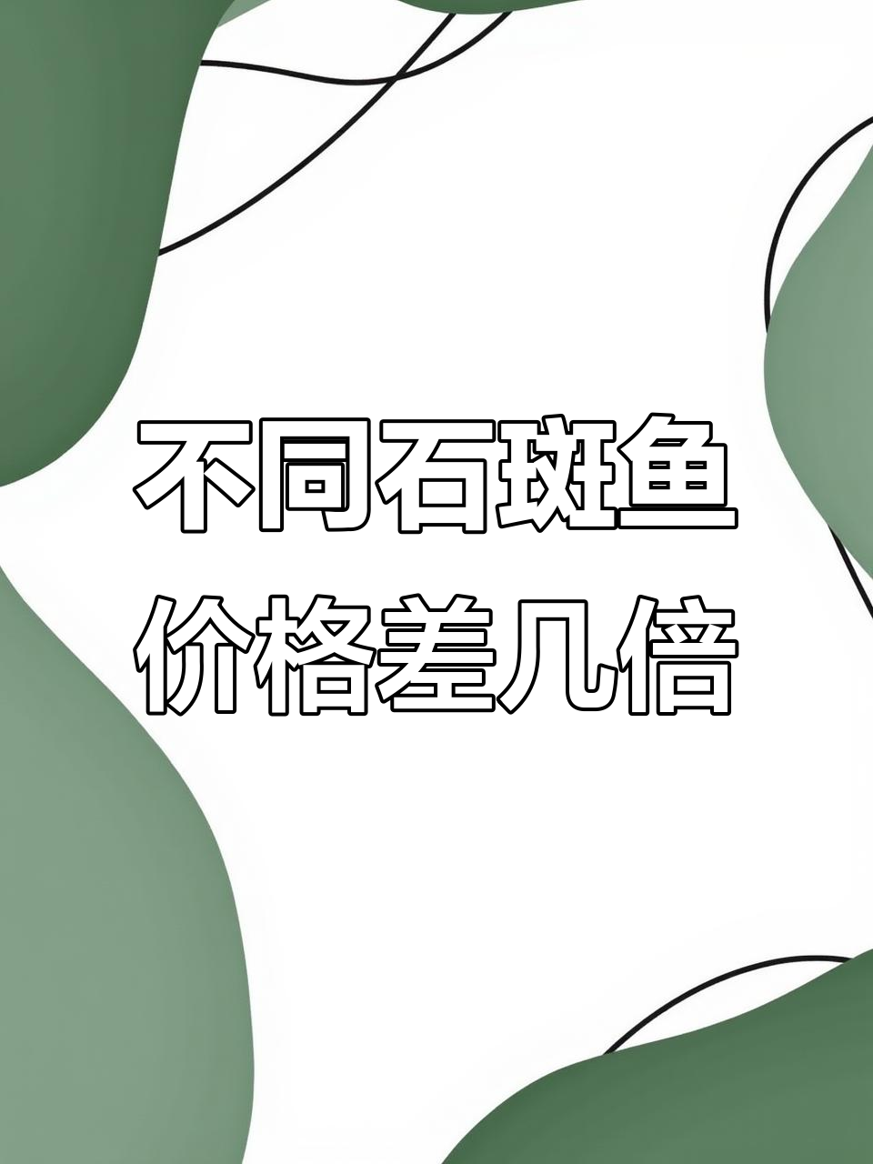 石斑鱼价格差异大,点斑和鲜斑你分得清吗?