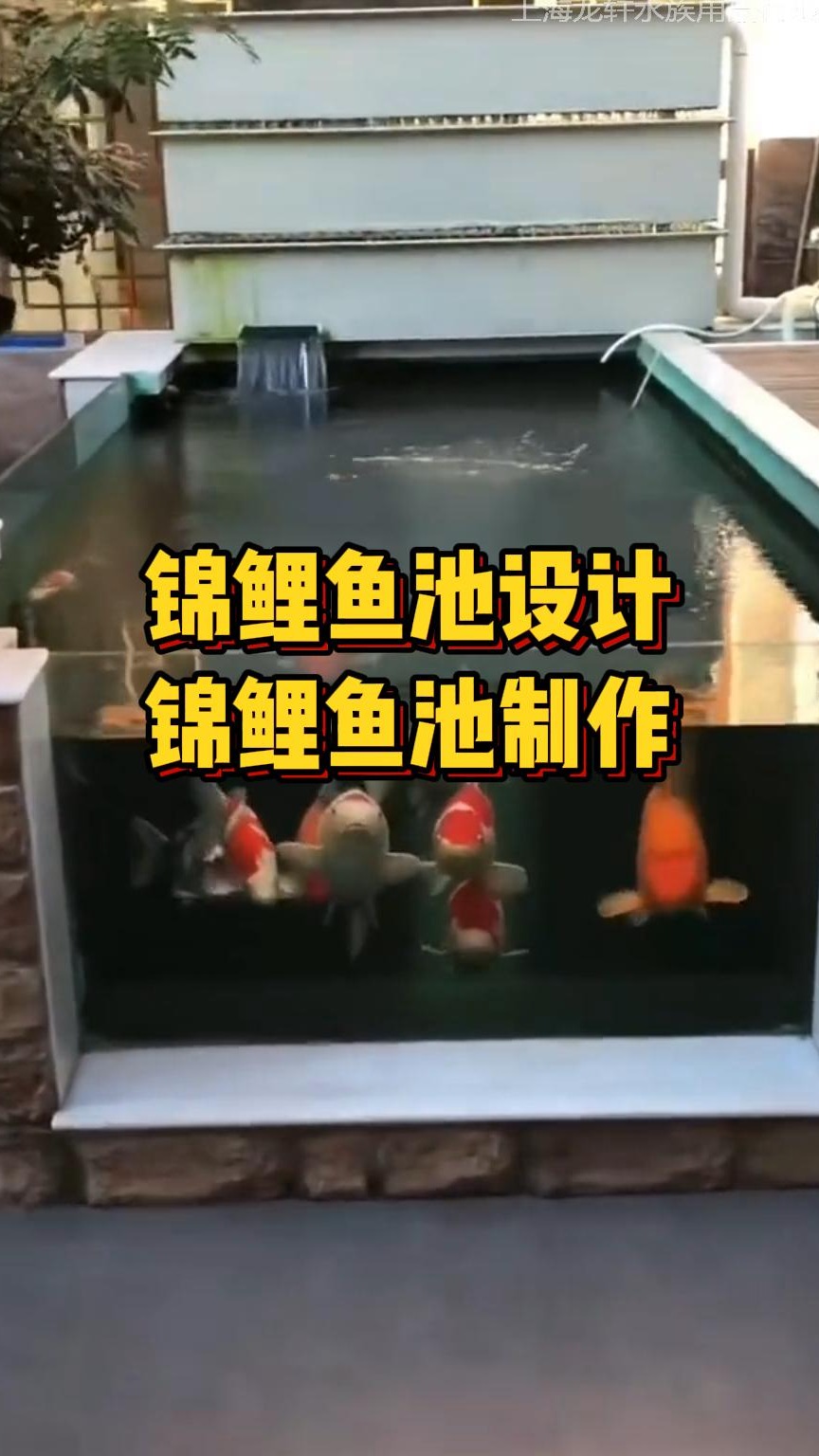 现代风格的锦鲤鱼池设计,注重简约时尚和个性化