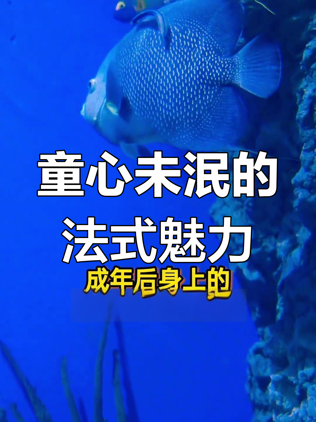 法国男神曾是萌态十足的“鱼医生”,童年反差超可爱!