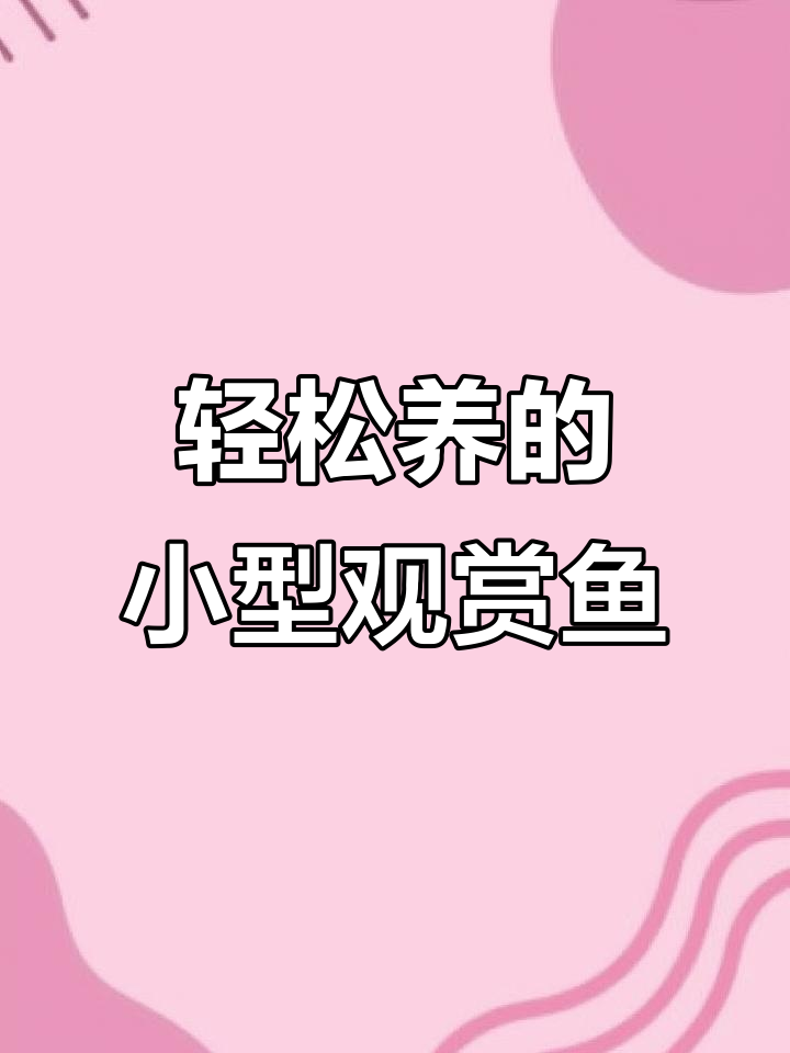 小型观赏鱼大集合：低难度饲养，适合家庭水族箱