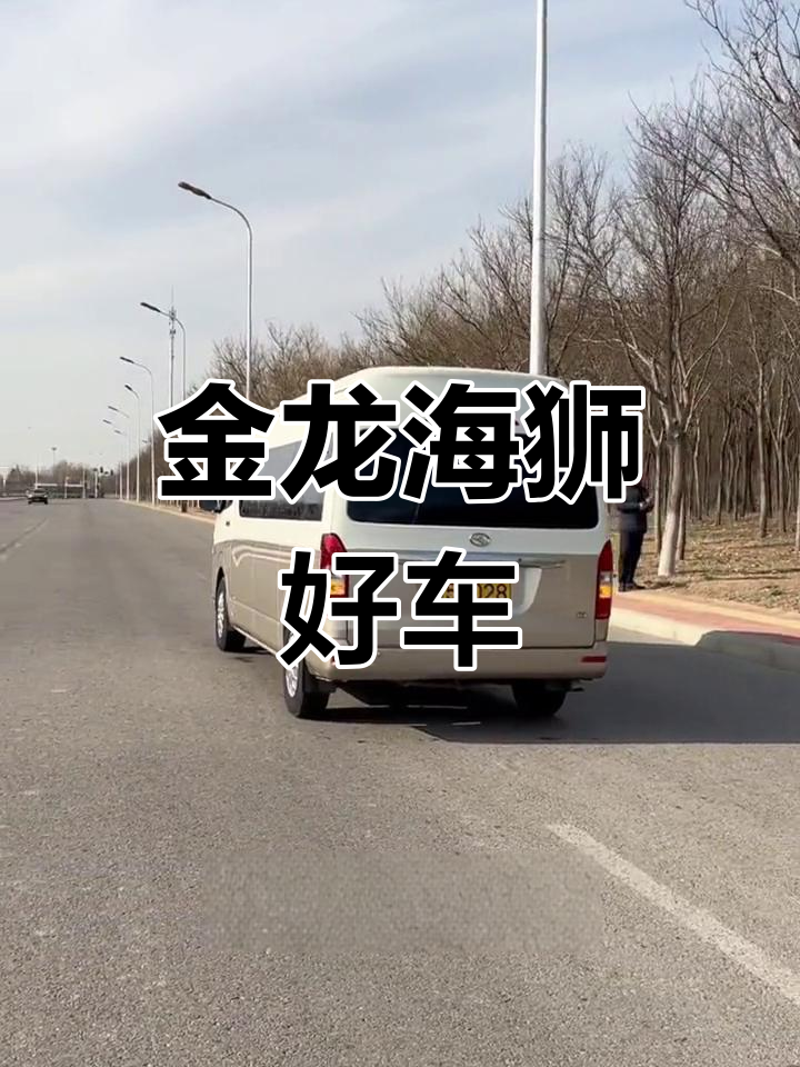 2017金龙海狮,柴油动力,车况良好,公里数真实
