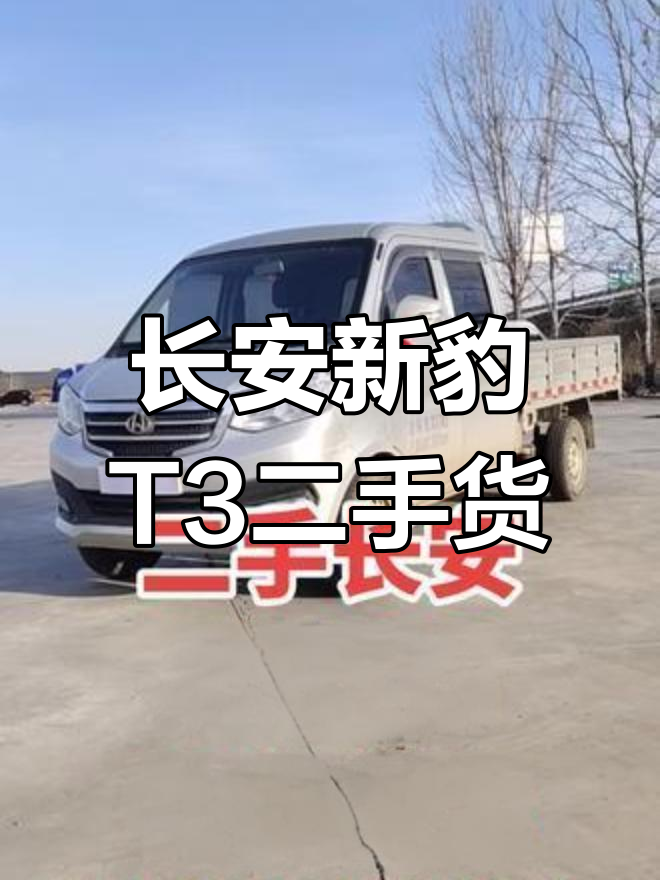 二手长安新豹T3双排货车,配置齐全,车斗宽敞