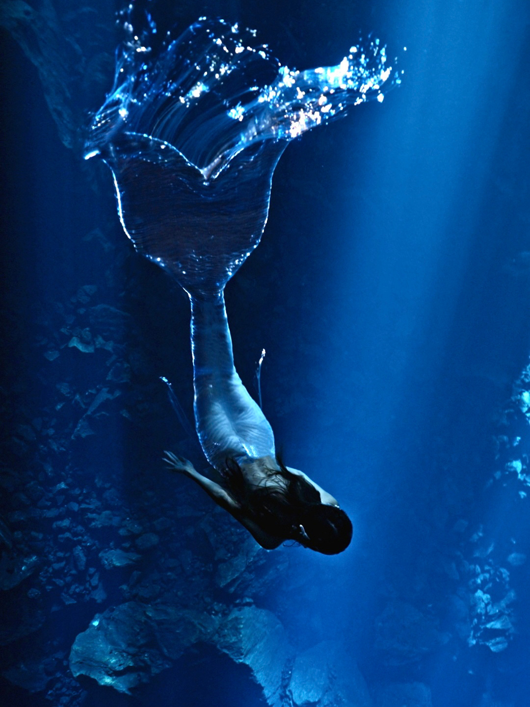 暗夜星光 今天是一条真正的发光深海鱼