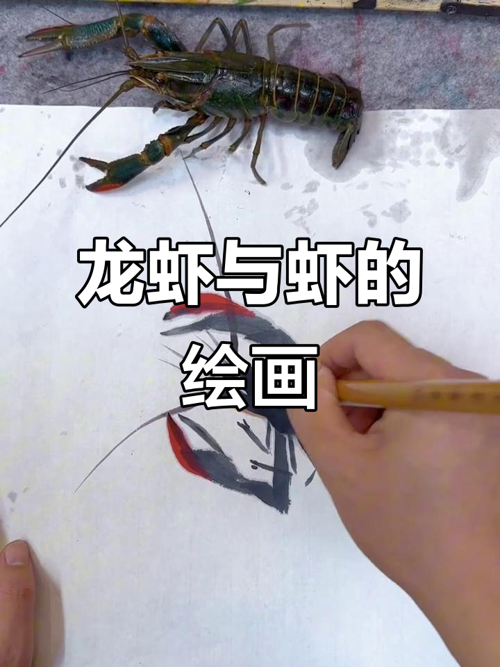画龙虾和虾,简单又有趣!