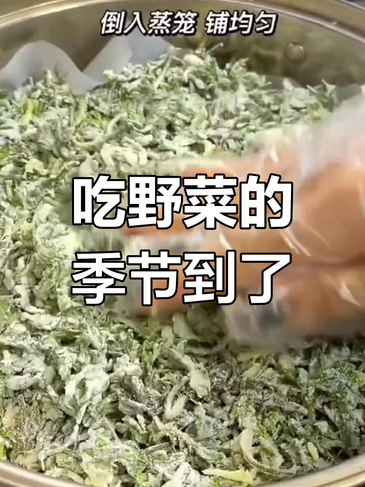 春天里的野菜美味,蒸荠菜你尝过吗?