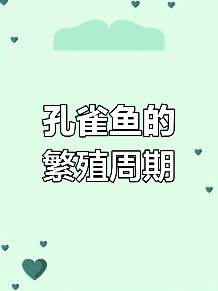 孔雀鱼多久能繁殖一次?揭秘它们的生育能力