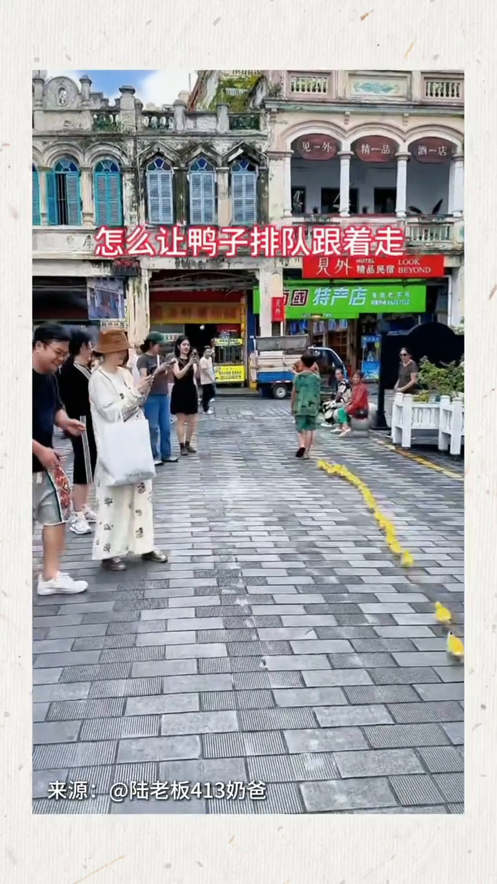 萌化了!小男孩把一群小鸭子训练得超听话,排着队乖乖跟随
