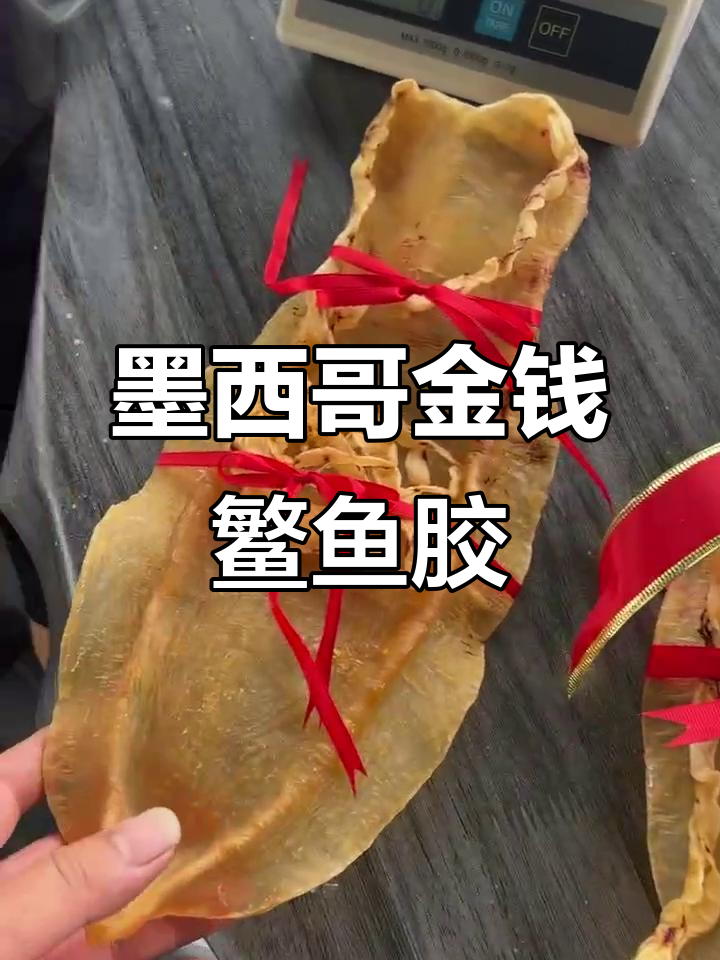 墨西哥大须金钱鳘鱼胶：为什么这么贵？