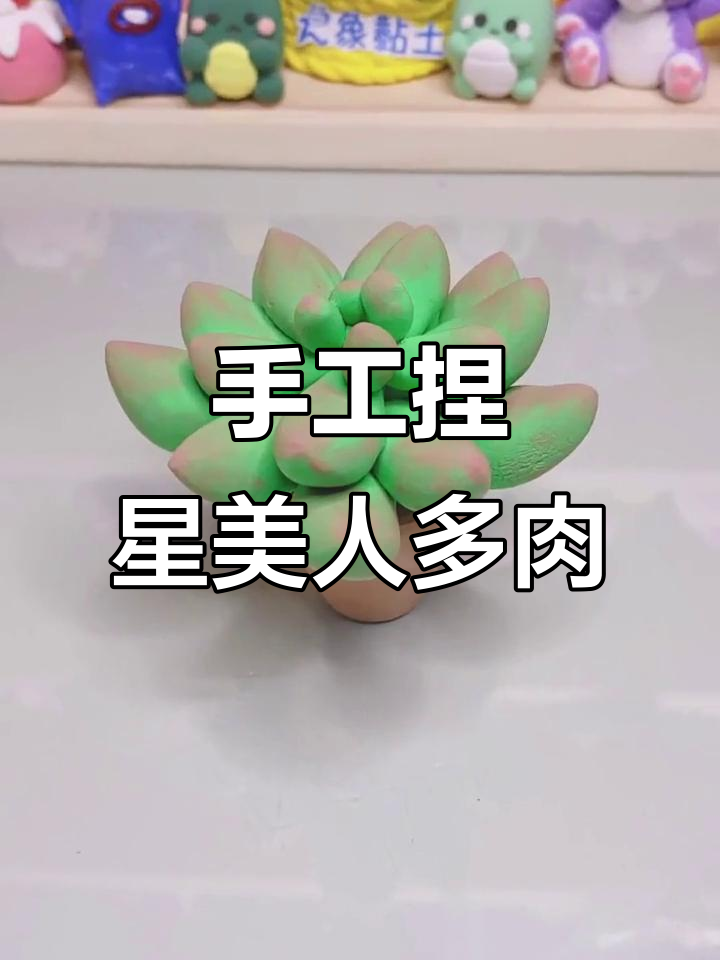 用粘土做星美人多肉植物，超逼真！
