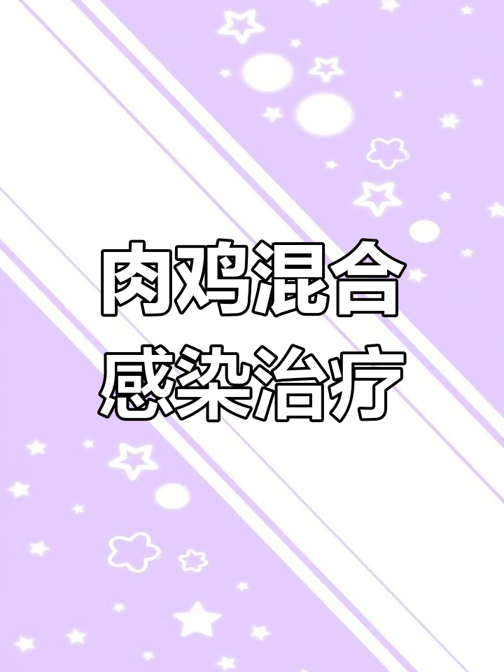 肉鸡传贫与支堵混感病例分析:临床症状、治疗方案及效果
