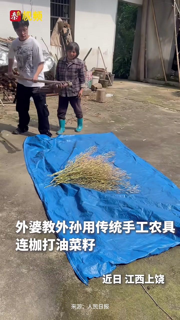 你见过打油菜籽吗？外婆手把手教外孙，用传统手工农具连枷打油菜籽。这一起一落的动作里，藏着农