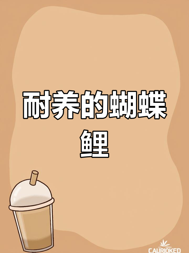 蝴蝶鲤:耐养冷水鱼,适合新手养殖