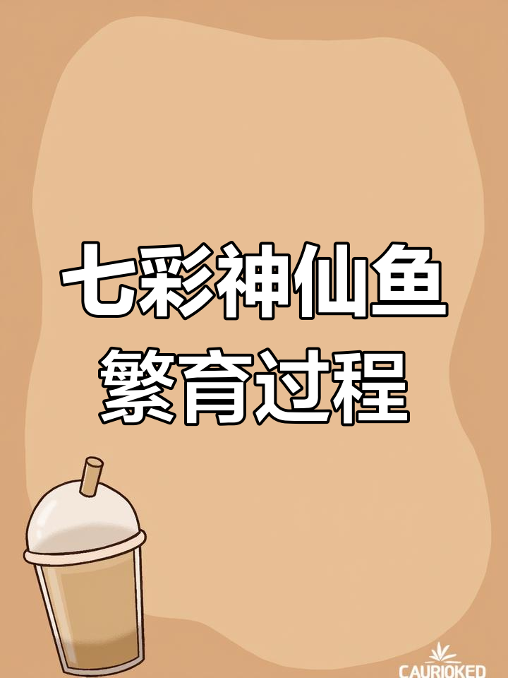 七彩神仙鱼如何繁殖?从产卵到小鱼起飞全过程揭秘
