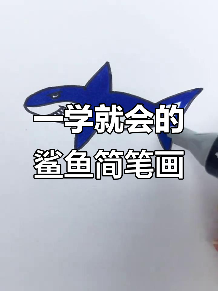轻松画出可爱鲨鱼,步骤简单又有趣