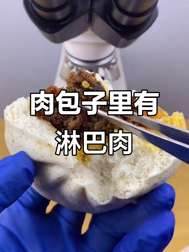 肉包子里的淋巴肉,放大200倍看真相