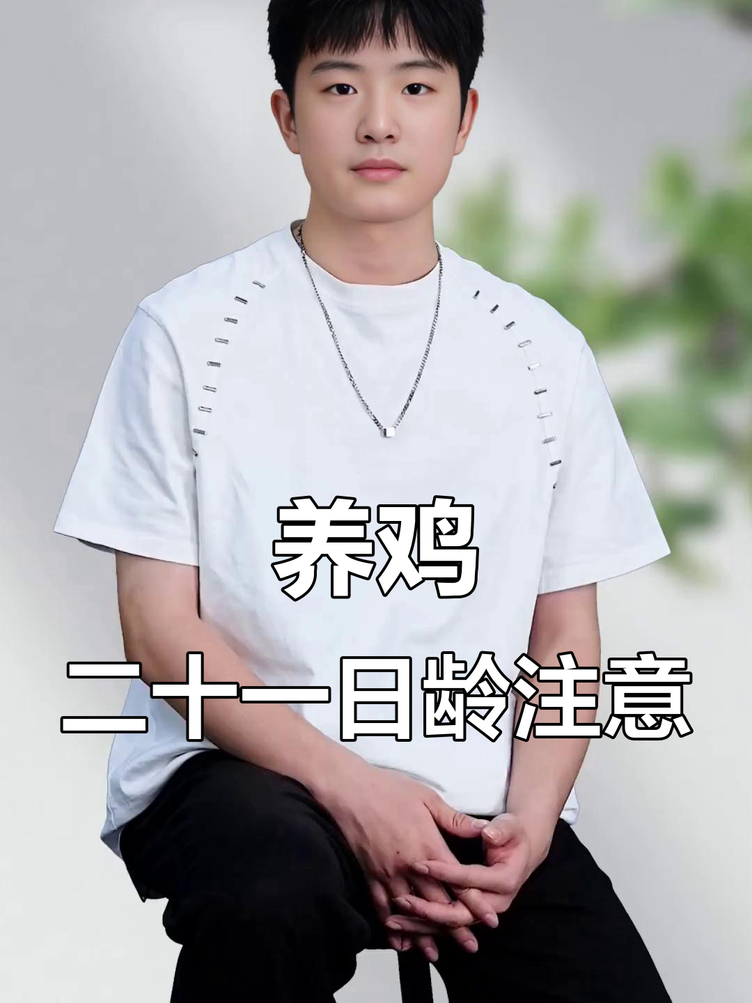 21日龄鸡群管理:新城疫二免操作与注意事项