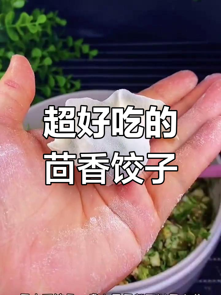 茴香饺子馅这样调,比饭店还好吃!