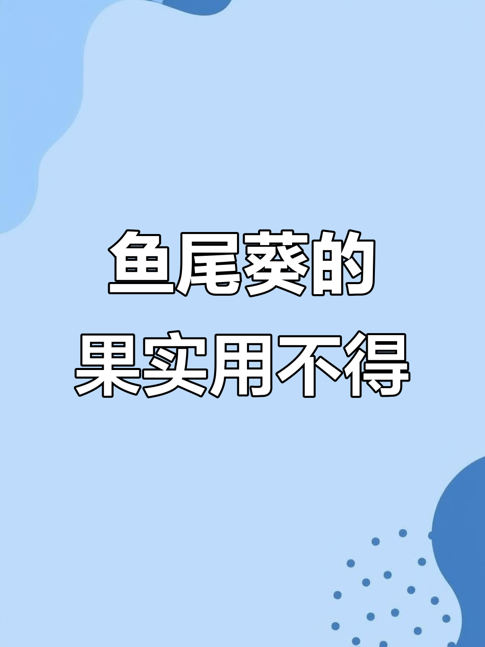 鱼尾葵果实美丽却有毒,千万别摘!