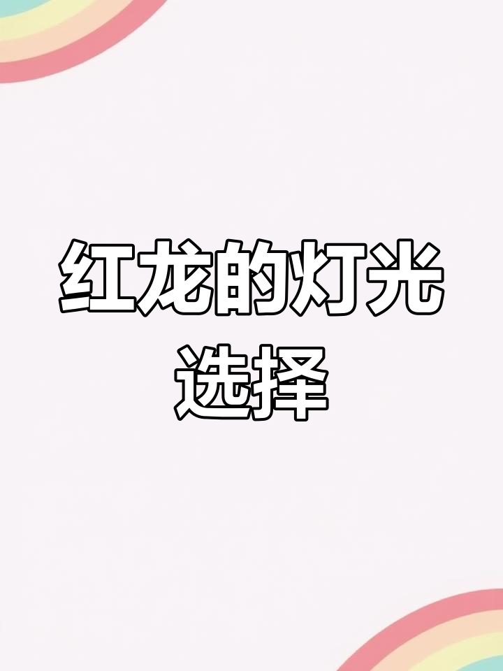 红龙灯光配置:白灯与红灯的选择