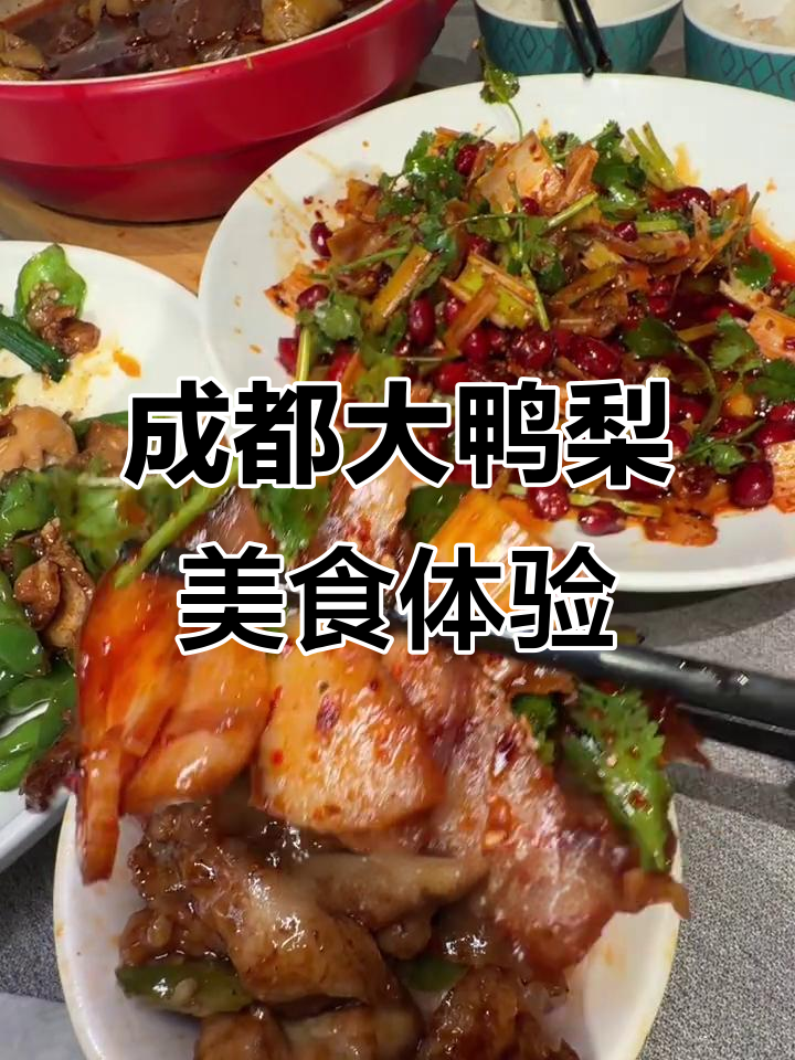 北京烤鸭与四川小炒肉的完美结合,环境超好!