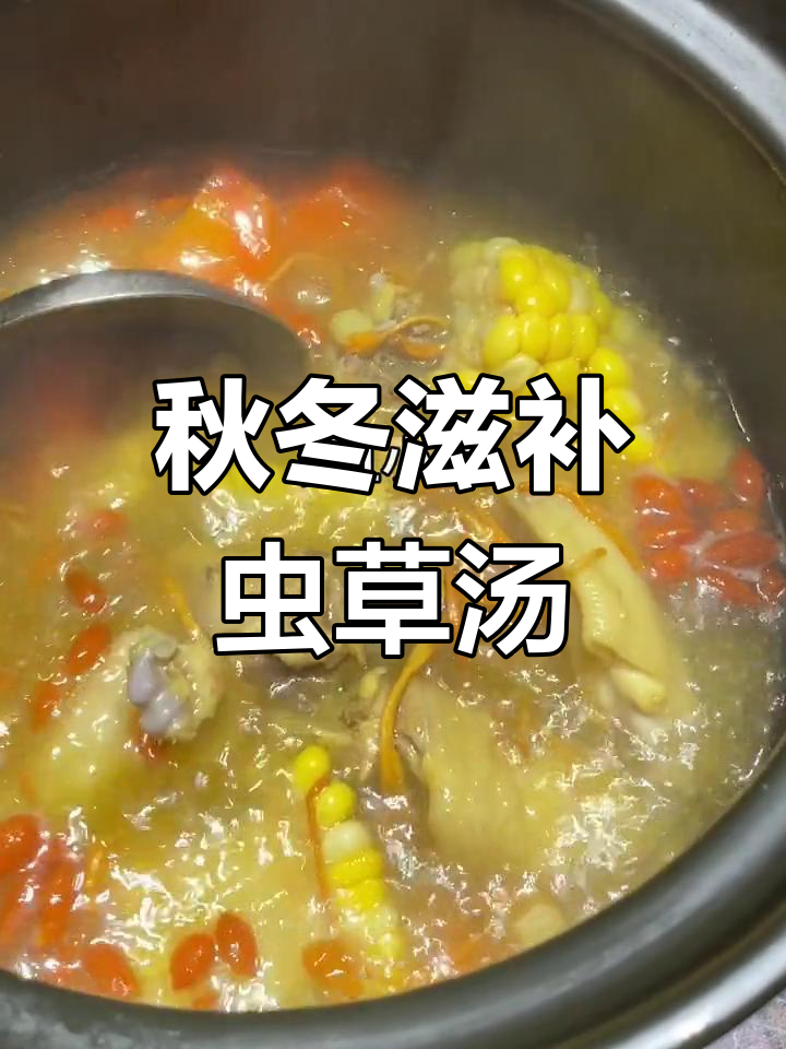 秋季干燥必备,虫草花干贝鸡汤润燥养气