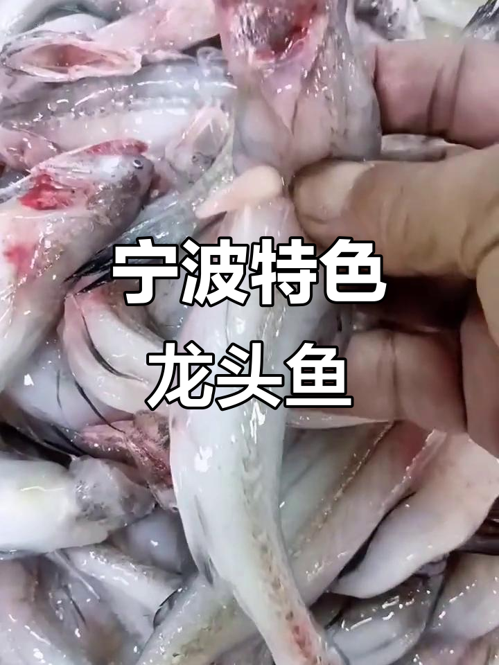 宁波特产龙头鱼:豆腐鱼与虾潺的美味故事