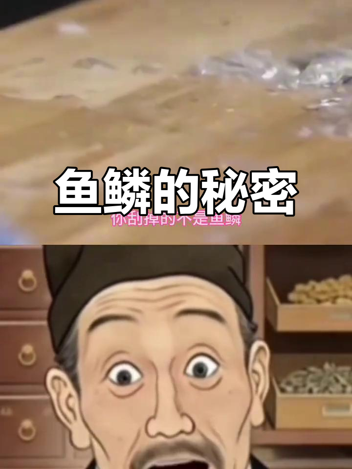 鱼鳞不是废物,熬成冻胶竟有这么多功效!