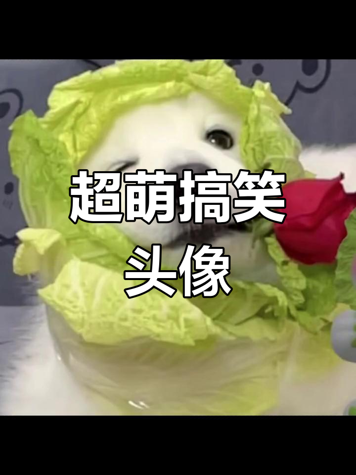 可爱又沙雕的搞怪头像