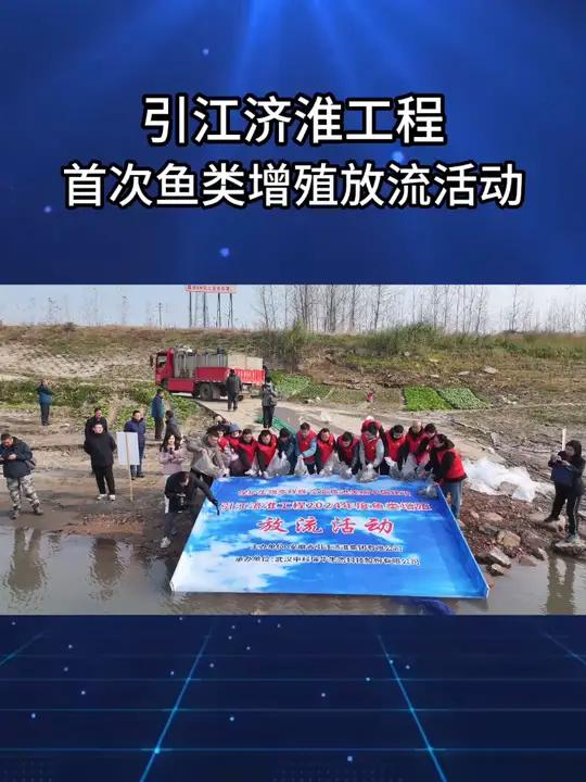 12月18日上午,在枞阳县下枞阳蒲城街枞阳江堤渡口,引江济淮工程首次鱼类增殖放流活动举行,
