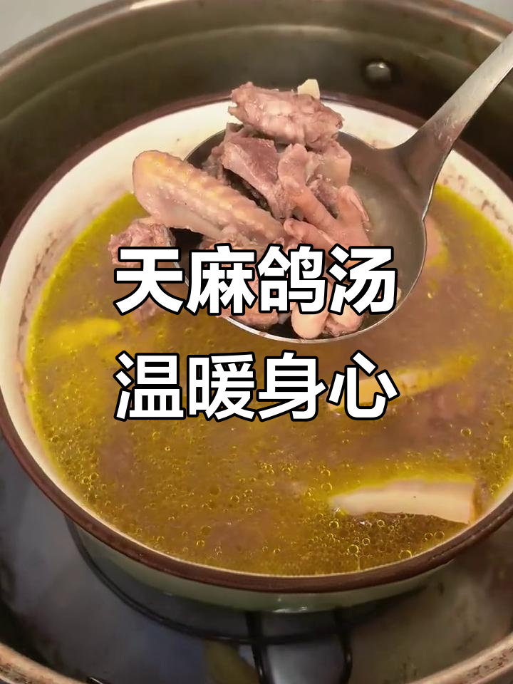 秋冬滋补,天麻鸽子汤暖心又提神,加班必备!