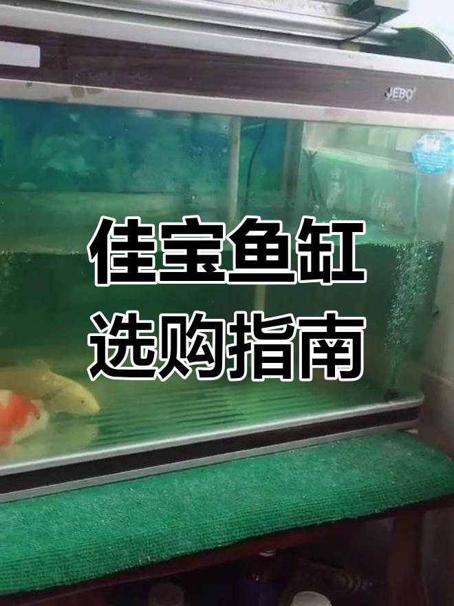 佳宝鱼缸:打造完美水族环境