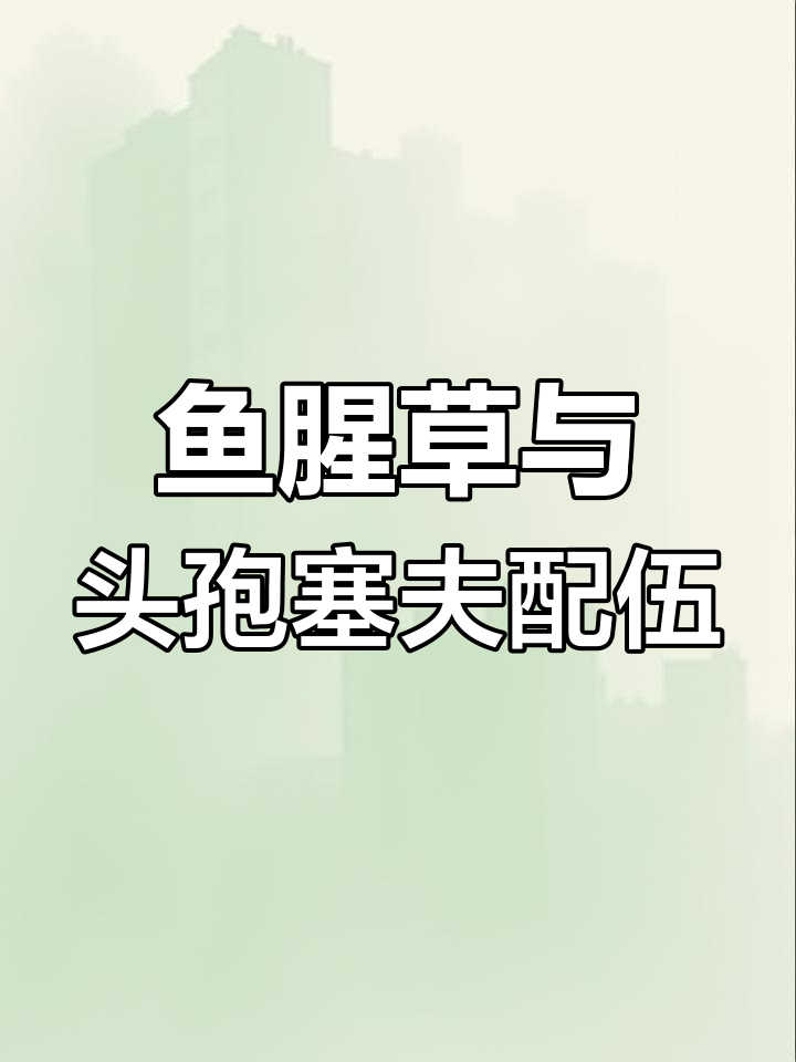 鱼腥草搭配这些药物,产后消炎效果惊人