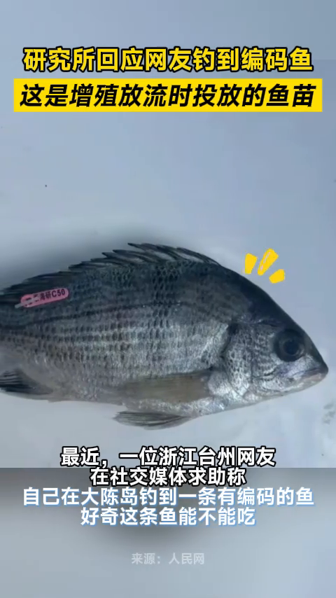 如果钓到这种鱼,先别吃!请与他们联系!