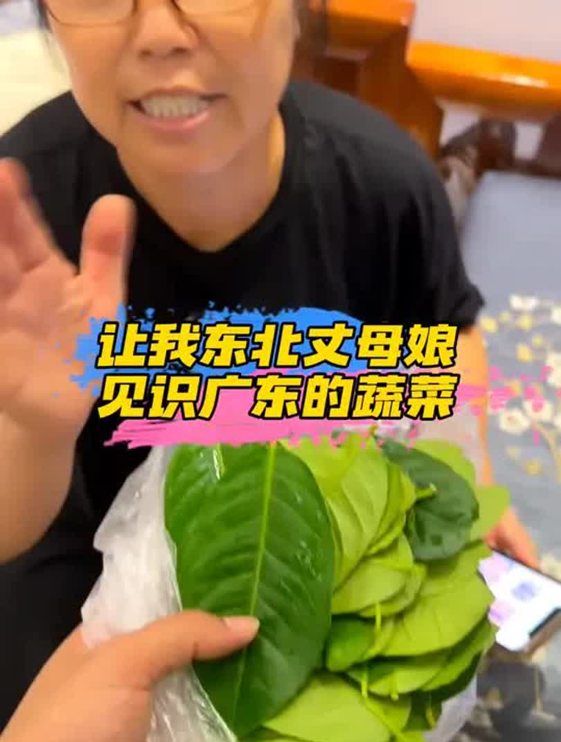 广东的青菜有多离谱?东北丈母娘和南方女婿,南北差异
