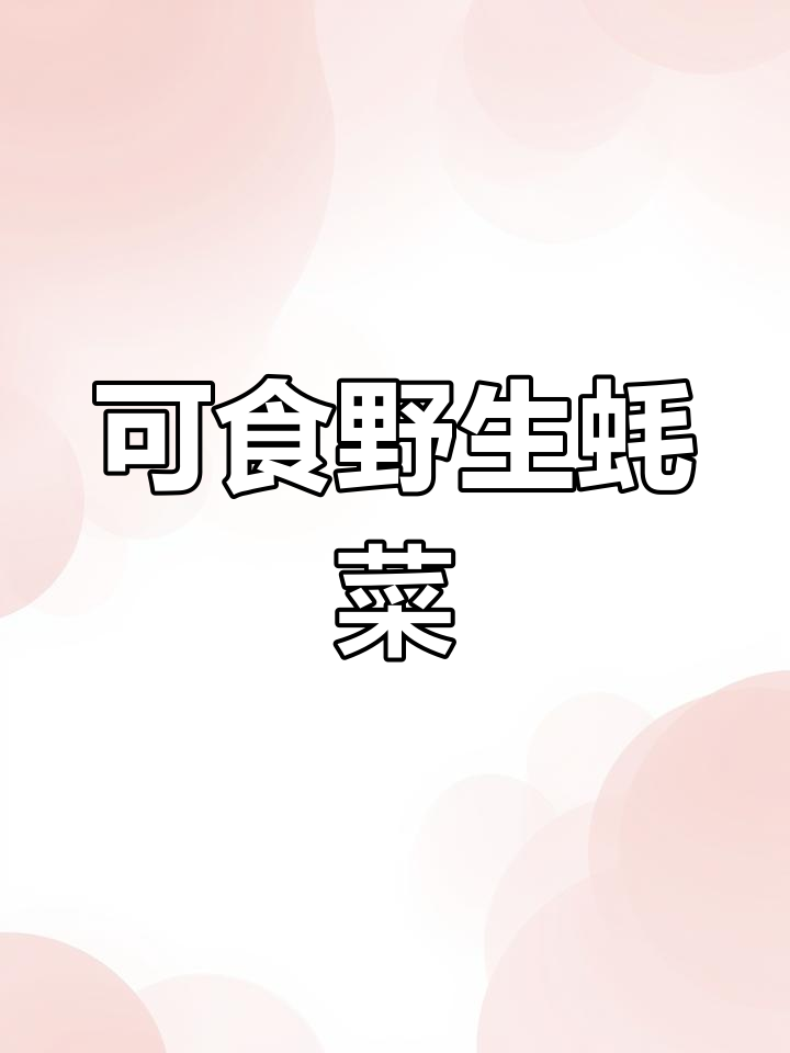 野外常见可食用蒿菜推荐