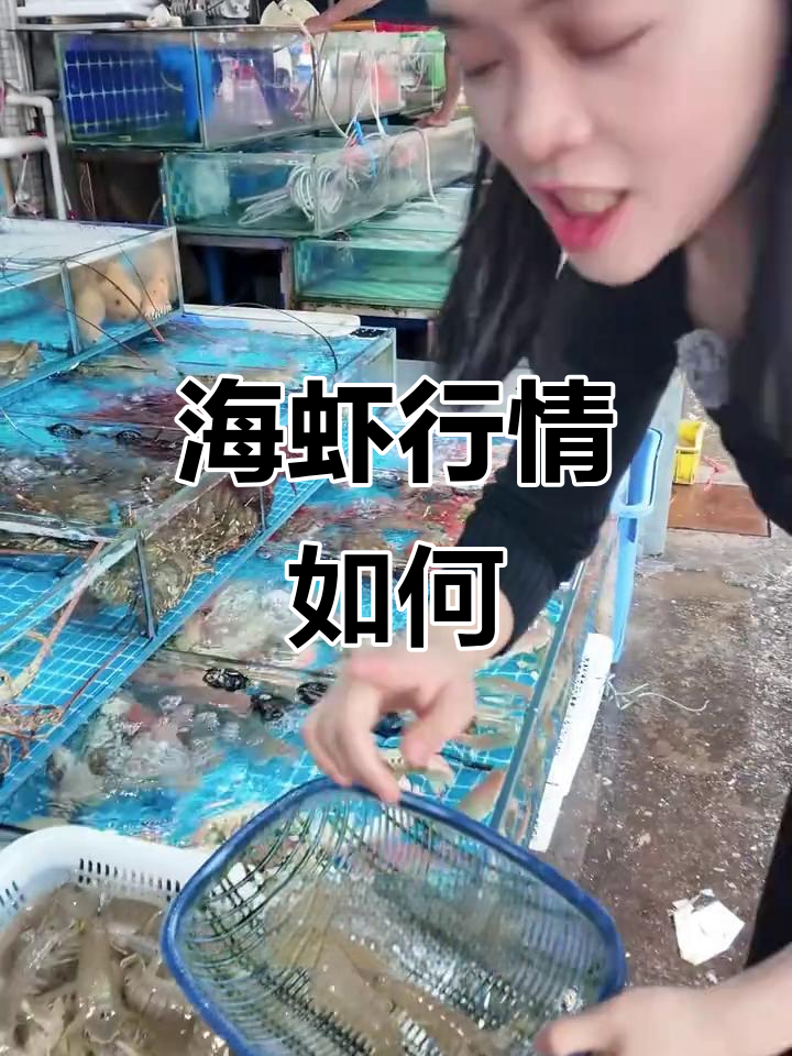 春节后海虾价格大揭秘,哪种最值?