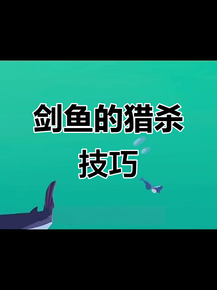 剑鱼如何用“长剑”捕食？动物界的击剑高手揭秘