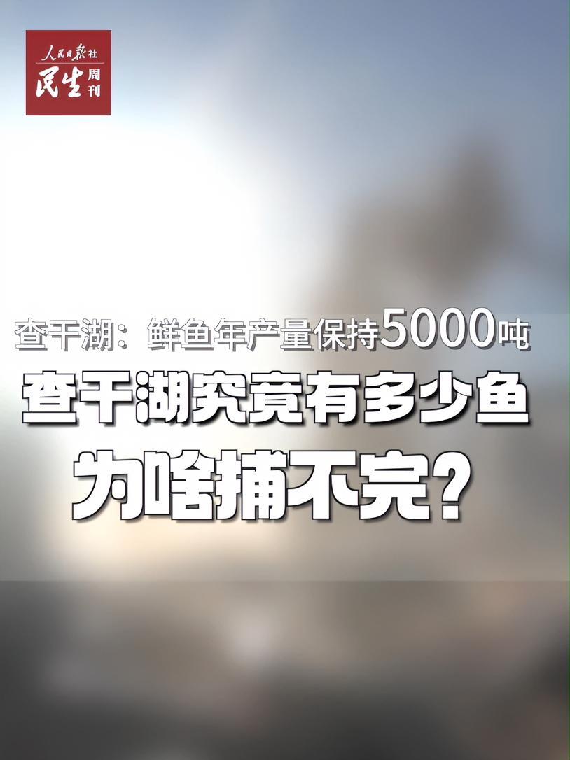 查干湖鲜鱼年产量保持在5000吨左右,为啥年年捞都捞不完?