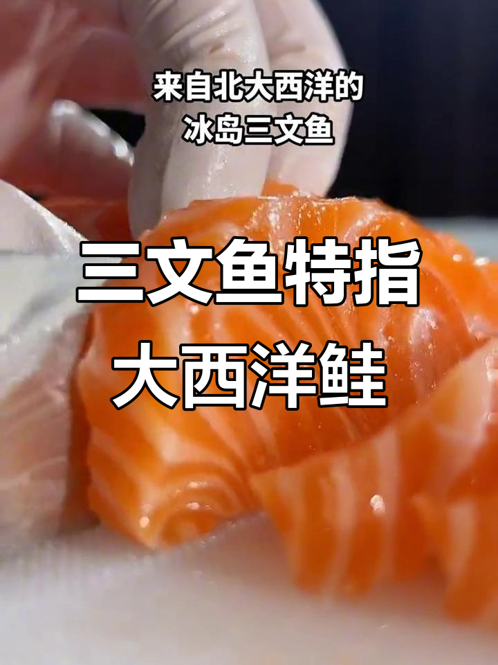 老百姓常说的三文鱼,其实是这种大西洋鲑鱼的专属名称