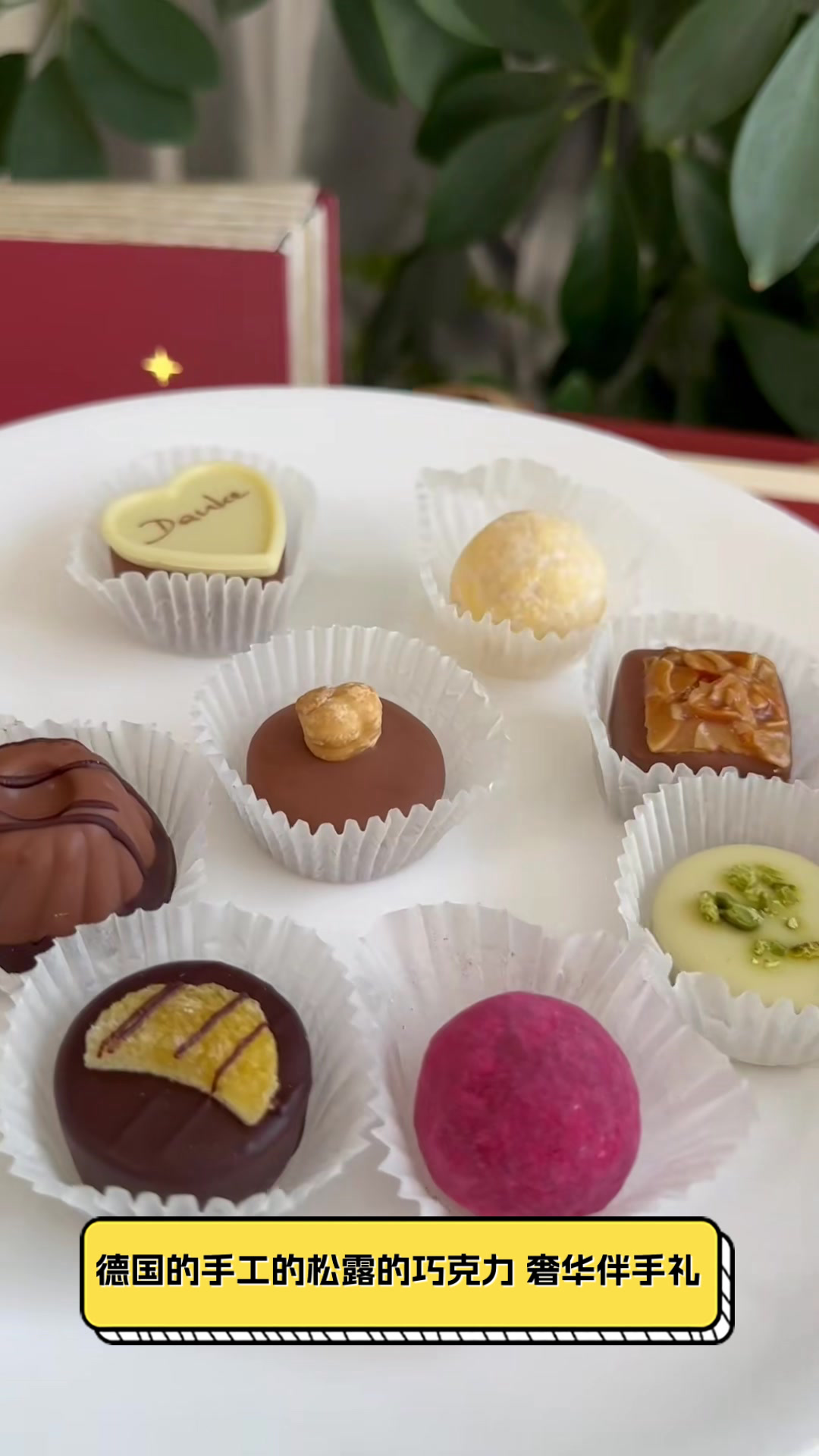 德国的手工的松露的巧克力，奢华伴手礼