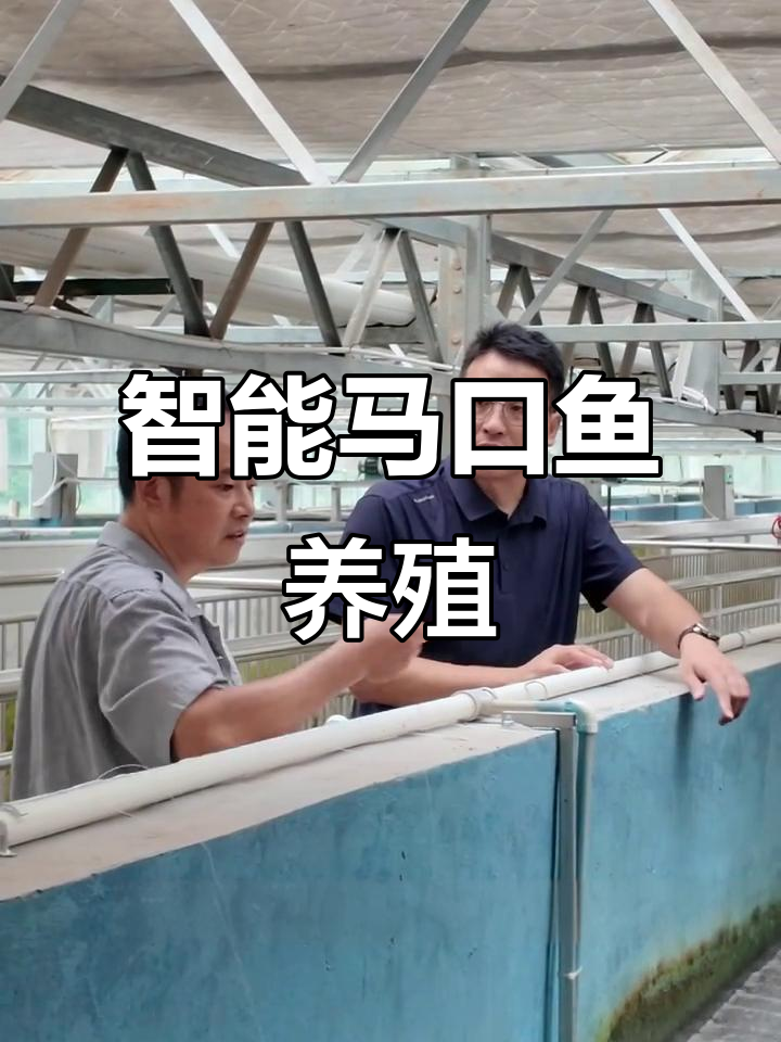马口鱼养殖车间升级,双层循环系统助力产量翻倍