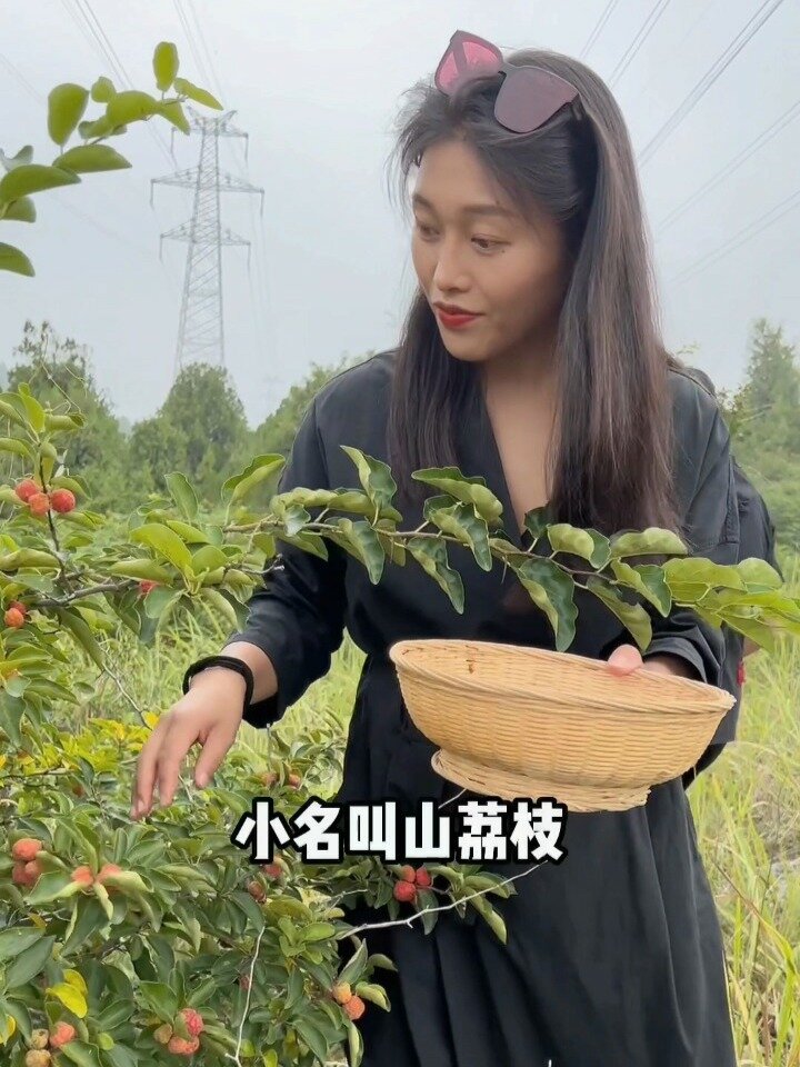山荔枝,徐州的小伙伴你们吃过嘛