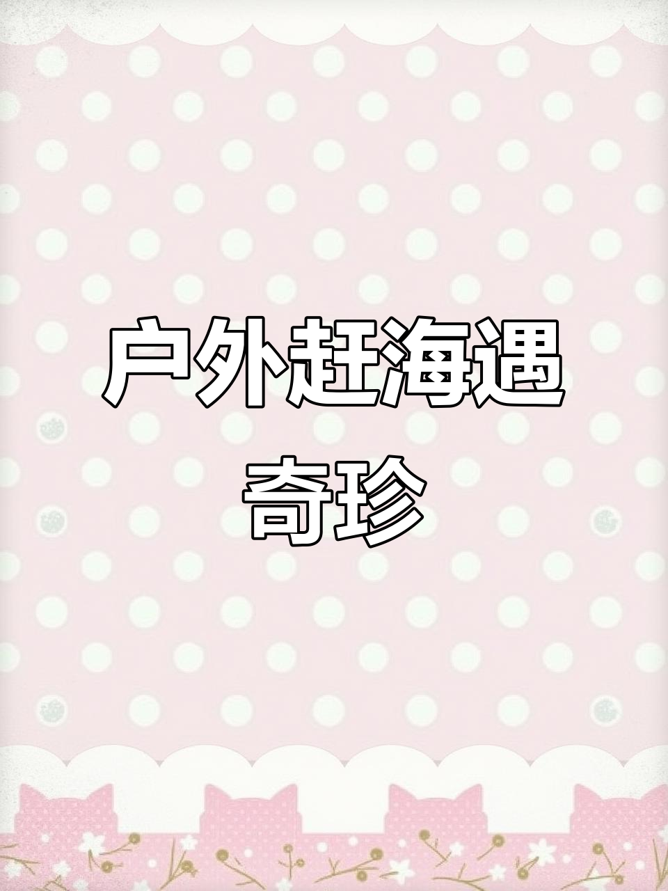 赶海抓海鲜,发现奇特海洋生物:毛蛤蜊、派大星和短腿八爪鱼