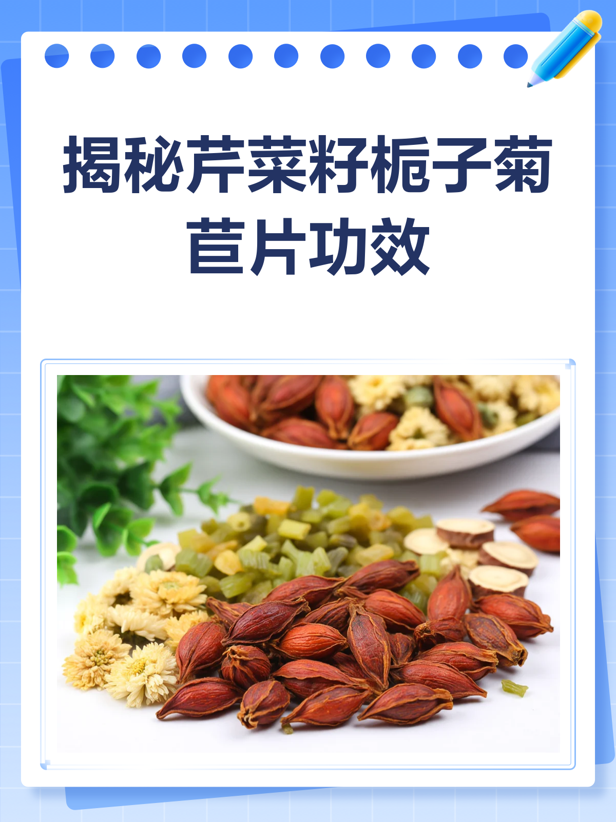 揭秘芹菜籽栀子菊苣片,痛风患者的福音?